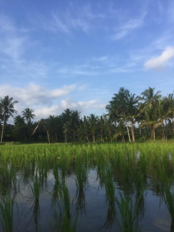 Ferienwohnung Umah Nik Kepitu Payangan Exterior foto